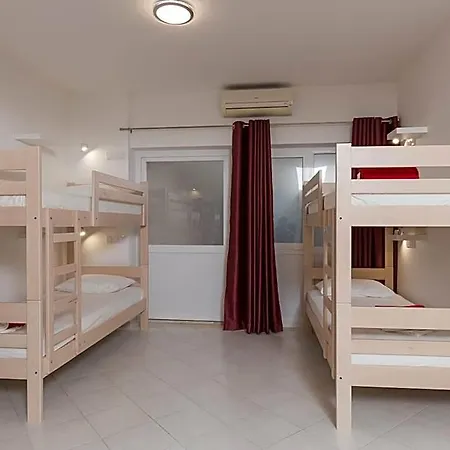 Free Bird (adults Only) Albergue